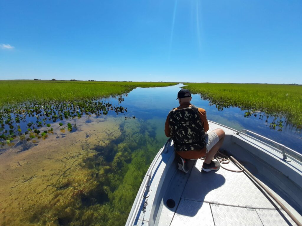 Agenda para um desenvolvimento sustentável e descarbonizado no Pantanal