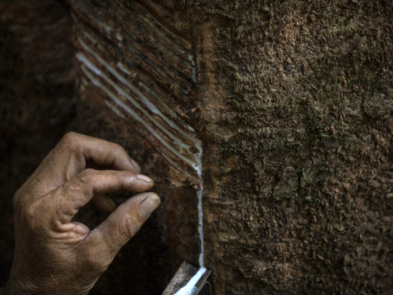 Biologia, Economia e Bioeconomia