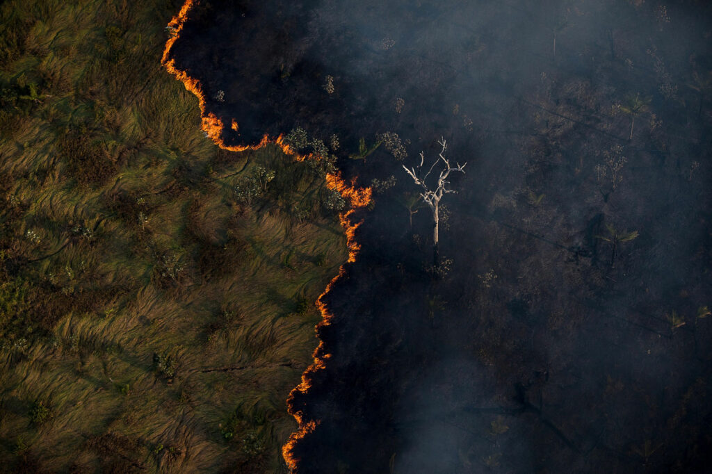 Agro é Fogo alerta: os incêndios continuam