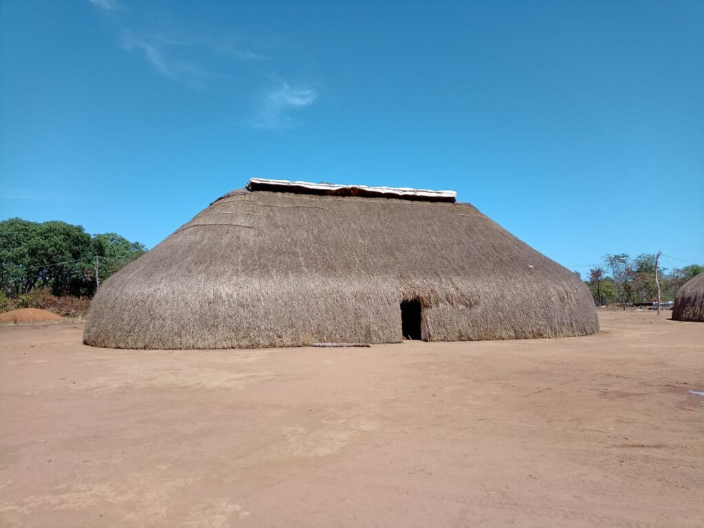Diário do Xingu: a chegada
