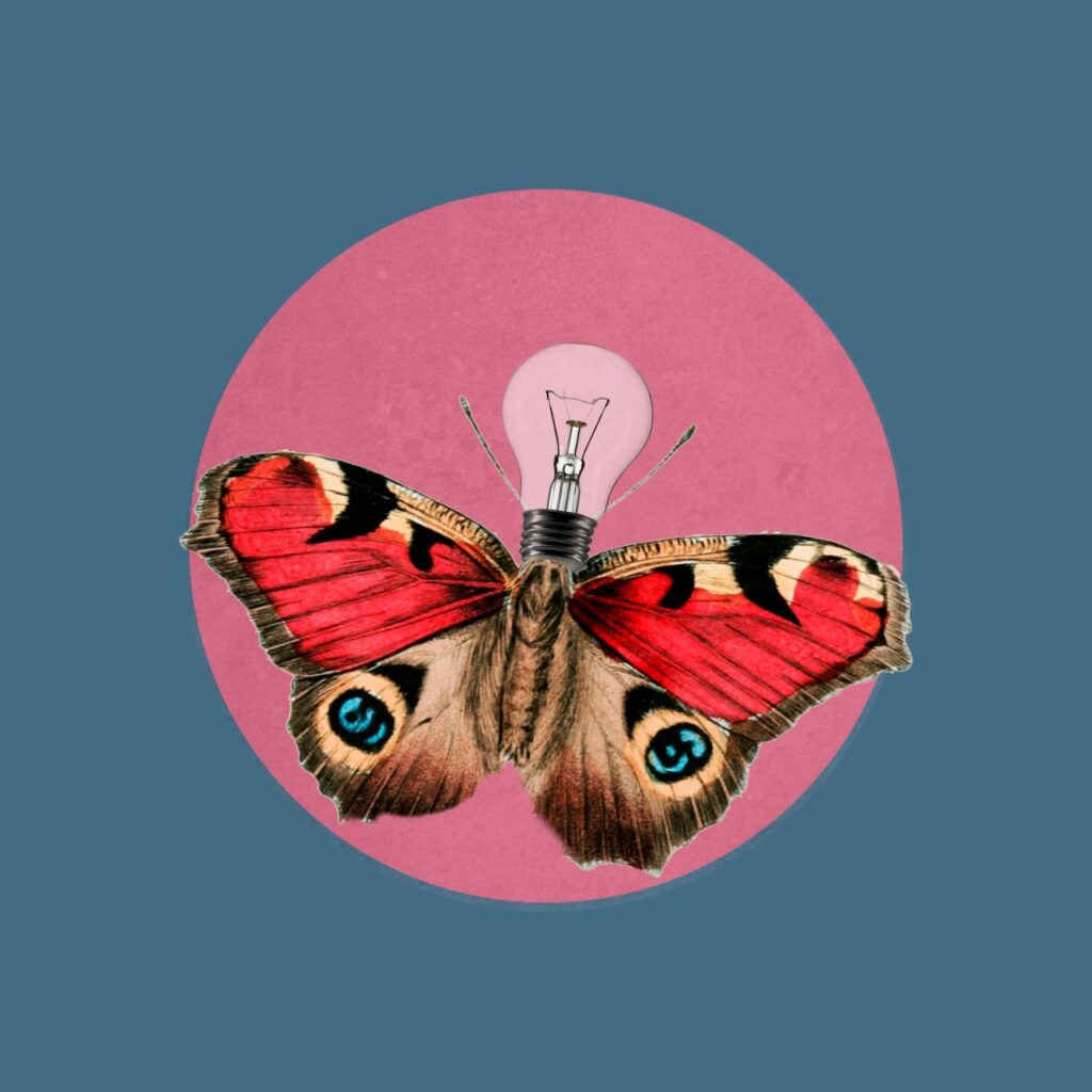 A nova economia amazônica