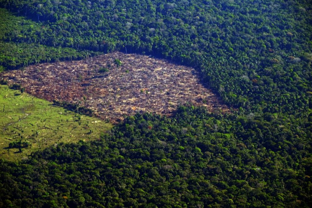 Com desmatamento, Brasil precisará de emissão negativa em energia em 2040