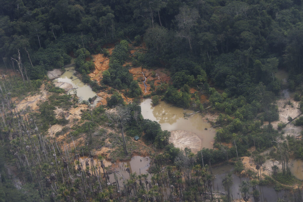 Por que ainda desrespeitamos a natureza?