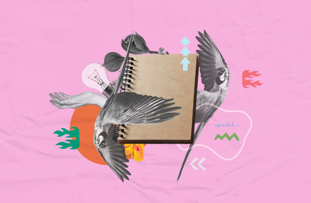 As diversas Amazônias reveladas em dados