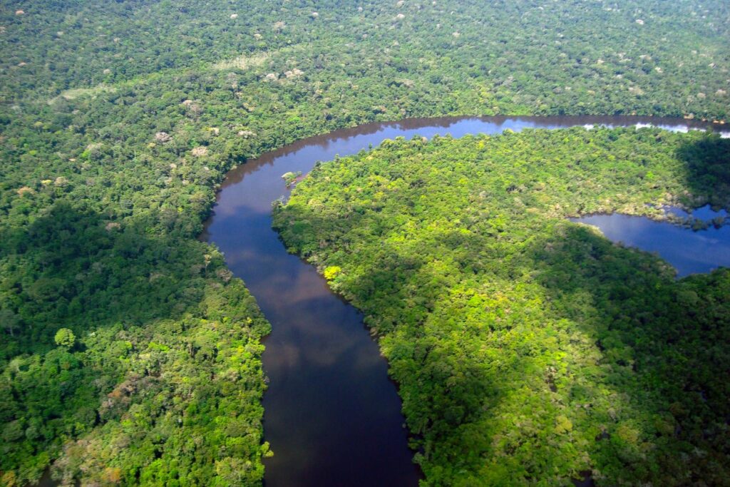 Investimentos de impacto precisam continuar fluindo na Amazônia