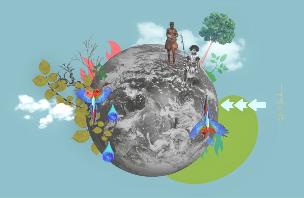 Redd+ Jurisdicional: o valor da floresta viva e de seus guardiões