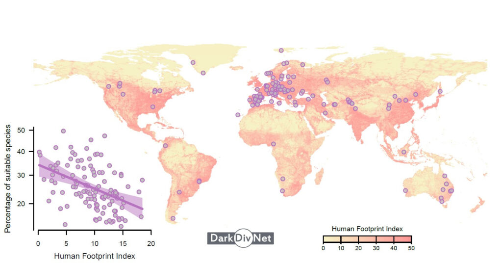 A diversidade faltante
